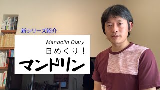 新シリーズ「日めくり！マンドリン」第0日目　明日からのシリーズのご紹介