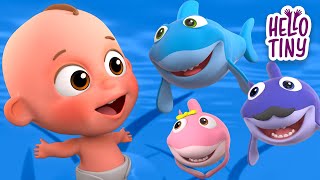 Baby Shark and More Nursery Rhymes! | Best kids songs collection | Hello Tiny
