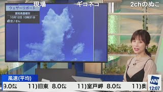 【松雪彩花】雲の形当てクイズ(雲画廊)に挑むあやち ニコ生コメント付き