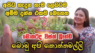 මොකටද විස්කි බ්‍රැන්ඩි ? අපිට හැදුන හැම ලෙඩටම අම්ම දුන්න එකම බෙහෙත කොත්තමල්ලි | Amila Nadeeshani