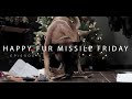 lof fur missile friday episode 4