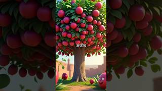 अनार की कहानी #fruit #cartoon #animation #recipe #hindistories #hindi