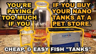 Thinking Outside the Fish Bowl! - My Tips and Tricks for Getting Cheap \u0026 Creative Aquariums \u0026 Tank