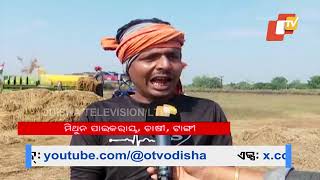 Elephants Wreak Havoc Destroying Acres of Vegetable Crops in Khordha