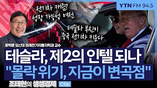 [생생경제] 테슬라, 제2의 인텔 되나 몰락 위기, 지금이 변곡점_250312