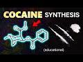 Epic First Cocaine Synthesis in 25 Steps (Educational)