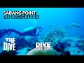 The pristine underwater paradise of Sabang Point Dive Site (Puerto Galera)