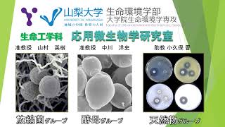 【山梨大学 生命環境学部 生命工学科】　応用微生物学研究室 研究紹介動画　（山村・中川・小久保/微生物）