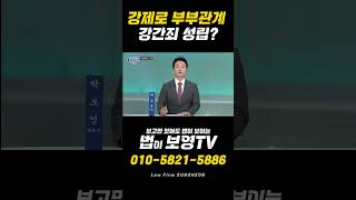 강제로 부부관계 강간죄 성립 / 더 로이어 178회