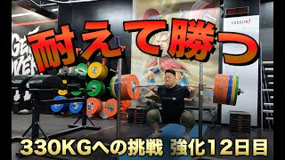 調子が落ちているいまこそ「耐えて勝つ」【Toshiki Yamamoto 山本俊樹 Back Squat 330KGへの挑戦　強化12日目】