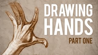 How to Draw HANDS - Muscle Anatomy of the Hand