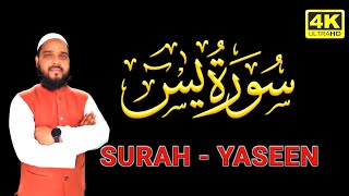 Surah Yaseen❤️ | Surat ul Yasin💞 | Beautiful Quran Surah Yaseen💓 | Hafiz Arshad Ahmad Official