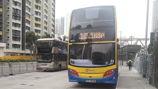 城巴 CTB 8451(SX1008)@118P長沙灣(深旺道)→小西灣(藍灣半島)