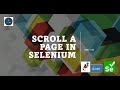 Interview question  : How to scroll a page in Selenium