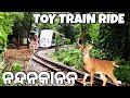 NandanKanan | Zoological Park | Toy Train | #odiavlog