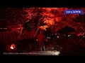 happo en garden autumn leaves light up subtitles