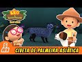 A Civeta de Palmeira Asiática | Leo, O Guarda Florestal | Minisode | Animação