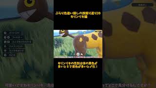 【キリンリキ】 必殺捕獲隊が行く！ぶらり色違い♀ポケモン探しの旅ショート版　#39【ポケモンsv】 #ポケモンsv　#shouts 　#色違い　#キリンリキ　#リキキリン