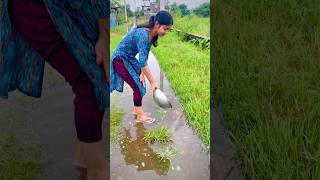 গামলা দিয়ে মাছ ধরছি 😁#video #minivlog #shortvideo #youtubeshorts #vlog #viralvideo #fishing