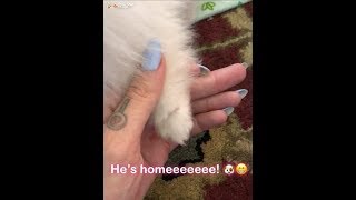 Jeffree Star Gets His 6th Dog| SnapChat Story
