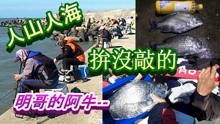 南寮北堤閃風輕鬆玩，人山人海，打螺釣螺不知道菜市場釣的到魚嗎?