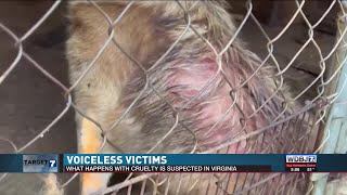 VOICELESS VICTIMS: How Virginia Law Delivers Justice for Animal Cruelty Cases