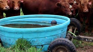 Pasture Water Systems