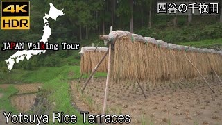 [4K HDR] Yotsuya Rice Terraces | September 2021 | 愛知県 新城市 四谷の千枚田