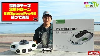 【水中ドローン】BW SPACE PRO4Kを海で操縦してみた