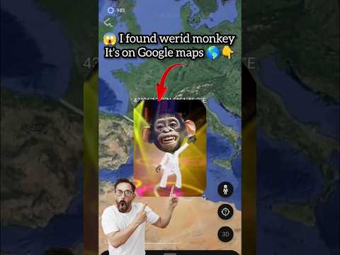 Encontré un mono raro, es real en Google Maps #shorts #ytshort #youtubeshort #google Would358