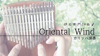 【カリンバ演奏】Oriental Wind～伊右衛門CM曲～ / 久石譲