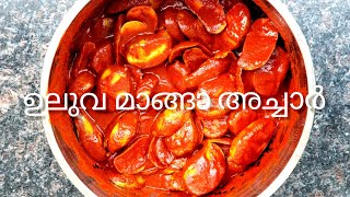 പരമ്പരാഗത രീതിയിൽ ഉലുവമാങ്ങാ അച്ചാർ / Traditional uluvamanga  Achar/Uluva Mango Pickle