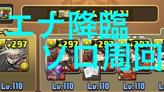 【パズドラ】 エナ降臨 ソロ周回