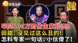 罕见100万的仿生紫砂壶！田甜：没见过这么丑的！怎料专家一句话，小伙傻了！#鉴宝 #华山论鉴