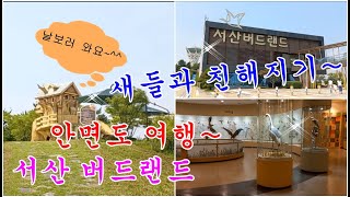 새들과 친해지자~ 안면도 여행 서산 버드랜드~Let's get friendly with birds~ Anmyeondo Travel Seosan Birdland~