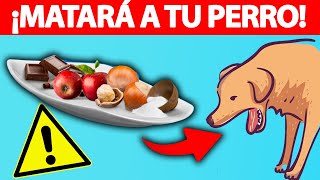 ! DETENTE ! Estos 10 alimentos  pueden matar a tu perro.