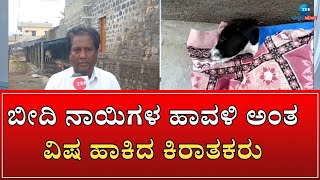 Vijayapura Dogs| 15ಕ್ಕೂ ಅಧಿಕ ಶ್ವಾನಗಳಿಗೆ ವಿಷ ಉಣಿಸಿ ಕೊಂದ ಪಾಪಿಗಳು