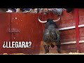 💥  LLEGARA EL TORO 💥  Capea con Toros Bravos Ciudad Rodrigo Carnaval del Toro 2020