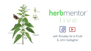 HerbMentor Live with Rosalee \u0026 John, featuring Stinging Nettle!