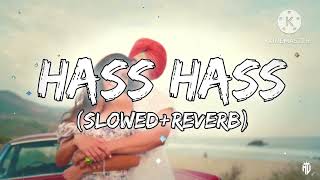 Hass Hass ( Slowed+Reverb) | Diljit x Sia| marna mai teriya bah vich chan ve |Lofi song| musichub2.0