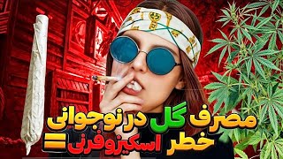 رابطه مصرف گل در نوجوانی با ابتلا به اسکیزوفرنی ثابت شد❗(بررسی جدیدترین مقاله ۲۰۲۴)