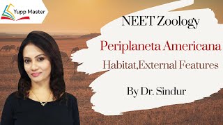 Periplaneta Americana -1: Habit ,Habitat  | NEET Zoology|Class XI (English)| Dr.Sindur