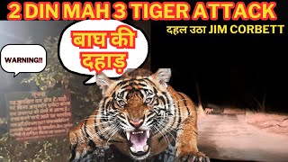 2 Din Mah 3 Tiger Attack‼️दहल उठा jim Corbett