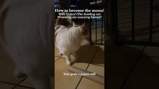 How to become the moon! With Viki the cat(ignore that I spelt her name wrong in the video 😭)