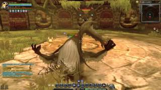 【DragonNest】破壞者單刷90回歸主教【LV.90 Archbishop Nest_Ruina solo】