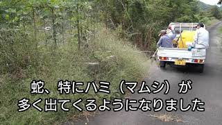 秋の防護柵除草