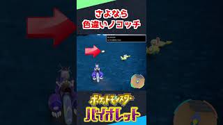 色違いノコッチ...さよなら【ポケモンSV】 #shorts