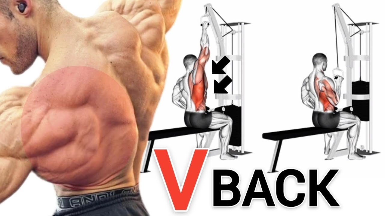 Top Back Exercise To Build Wider And Big Back Muscles | Back Workout ...