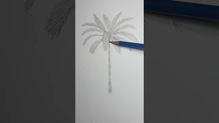 Draw a realistic palm tree 🌴 Easy drawing lesson for beginner artists. #drawinglesson #palmtree