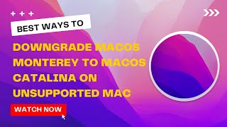 Downgrade macOS Monterey to macOS Catalina on Unsupported Mac